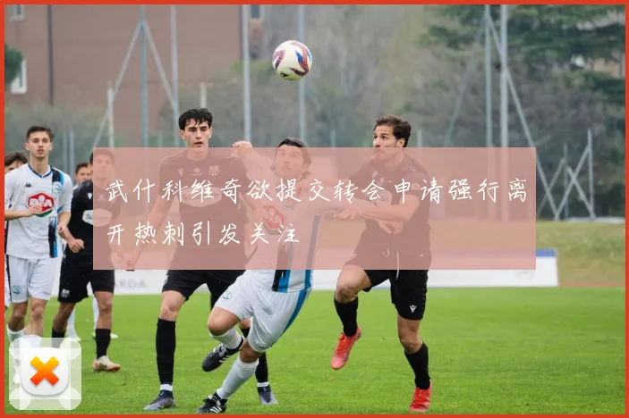 武什科维奇欲提交转会申请强行离开热刺引发关注